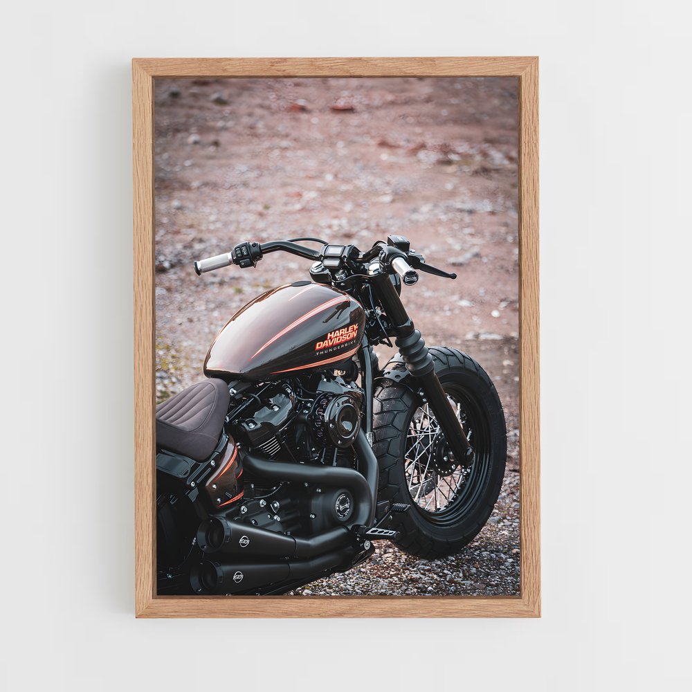 Poster Roadster Rebel – affiche Harley-Davidson (vue 4)